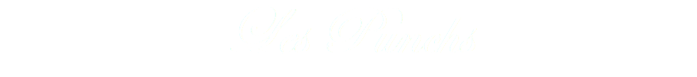 Les Punchs